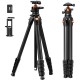 K&F Concept 73" Compact Camera Tripod(A305A3+BH-40)